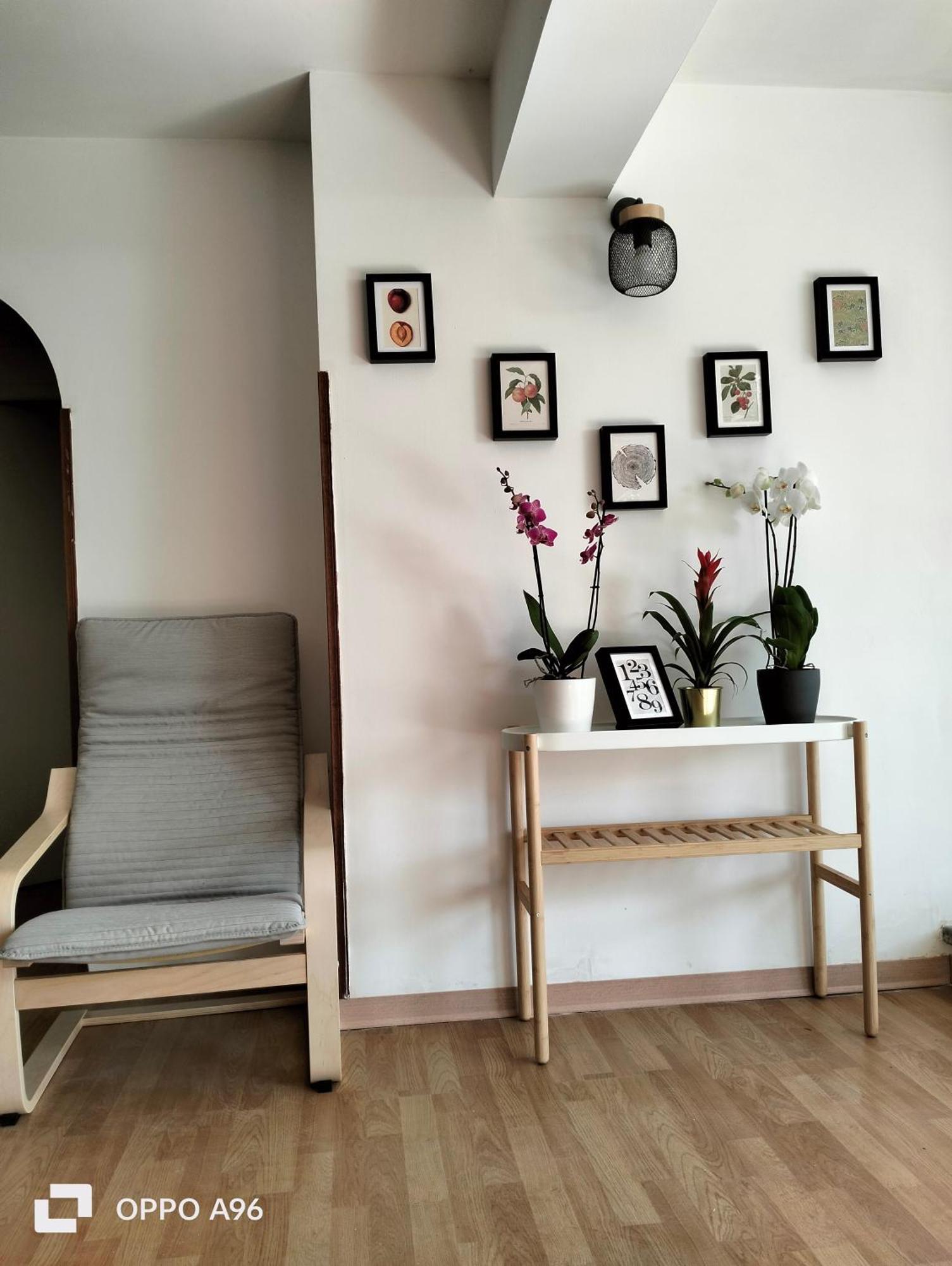 Al Focolare Di Enzo Villa มารีโน ภายนอก รูปภาพ